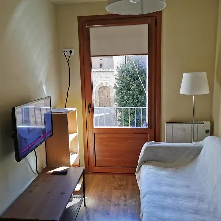Apartaments Sant Miquel Sant Joan de les Abadesses Buitenkant foto