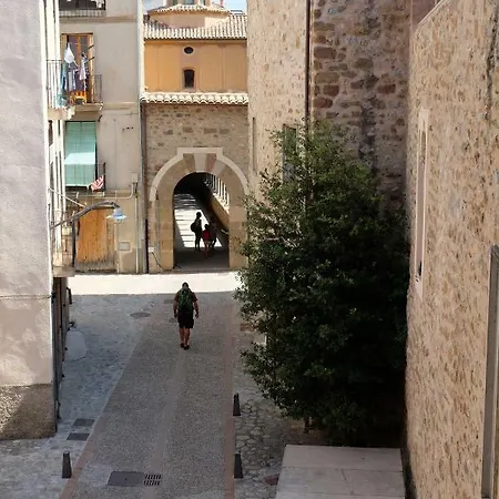 Apartaments Sant Miquel Sant Joan de les Abadesses Buitenkant foto
