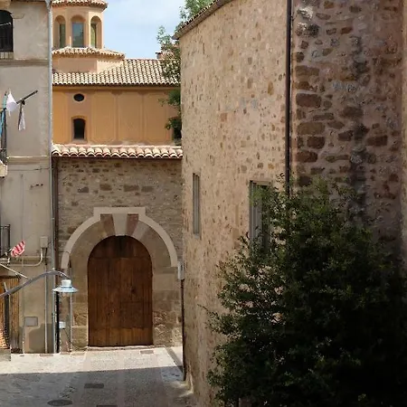 Apartaments Sant Miquel Sant Joan de les Abadesses Buitenkant foto