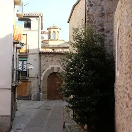 Apartaments Sant Miquel Sant Joan de les Abadesses Buitenkant foto